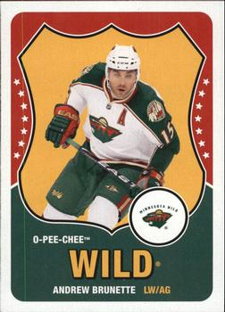 2010-11 O-Pee-Chee - Retro Blank Back #NNO Andrew Brunette  Front