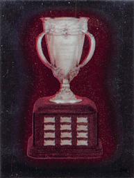 1982-83 Topps Stickers #248 Calder Memorial Trophy Front