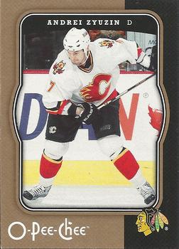 2007-08 O-Pee-Chee #102 Andrei Zyuzin Front
