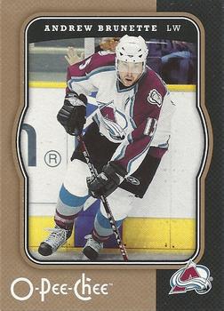 2007-08 O-Pee-Chee #119 Andrew Brunette Front