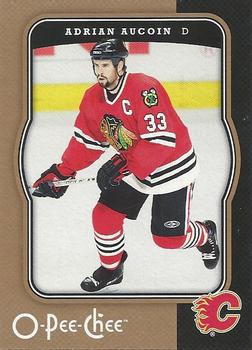 2007-08 O-Pee-Chee #75 Adrian Aucoin Front