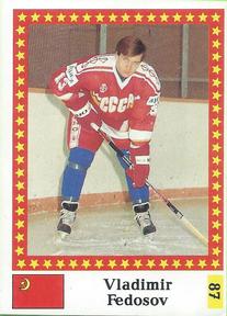 1991 Semic Hockey VM (Swedish) Stickers #87 Vladimir Fedosov Front