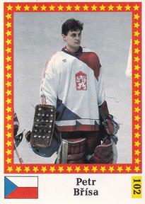 1991 Semic Hockey VM (Swedish) Stickers #102 Petr Briza Front