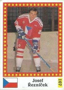 1991 Semic Hockey VM (Swedish) Stickers #107 Josef Reznicek Front