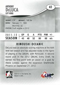 2012-13 In The Game Heroes and Prospects #41 Anthony DeLuca Back