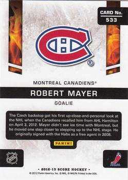 2012-13 Score - Gold Rush #533 Robert Mayer Back
