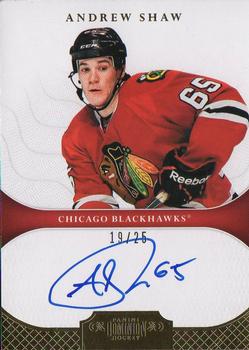 2011-12 Panini Dominion - Gold #112 Andrew Shaw Front