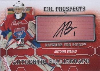 2012-13 In The Game Between The Pipes - Authentic Goaliegraphs #A-ABI Antoine Bibeau Front