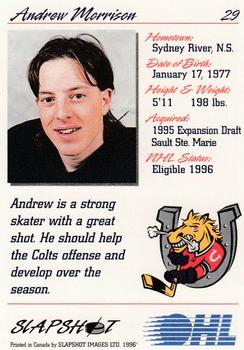 1995-96 Slapshot OHL #29 Andrew Morrison Back