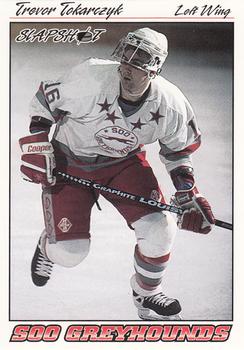 1995-96 Slapshot OHL #367 Trevor Tokarczyk Front