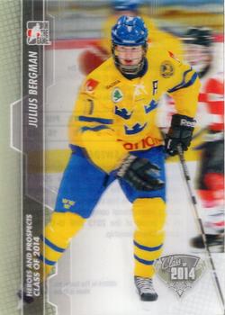 2013-14 In The Game Heroes and Prospects #198 Julius Bergman Front