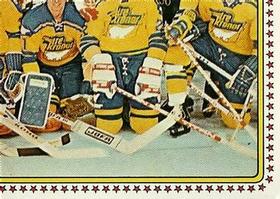 1979 Panini Hockey Stickers #183 Team Sweden Front