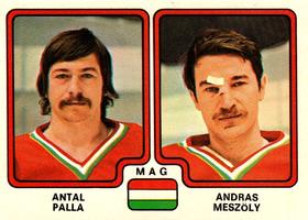 1979-80 Panini World Championship Stickers #270 Antal Palla / Andras Meszoly Front