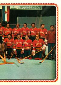 1979 Panini Hockey Stickers #311 Team Romania Front