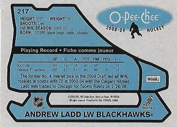 2008-09 O-Pee-Chee - 1979-80 Retro #217 Andrew Ladd Back