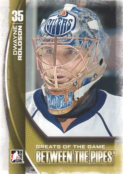 2013-14 In The Game Between the Pipes #101 Dwayne Roloson Front