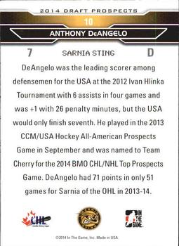 2014 In The Game Draft Prospects #10 Anthony DeAngelo Back