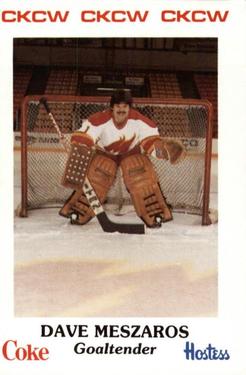 1985-86 Moncton Golden Flames (AHL) Police #5 Dave Meszaros Front