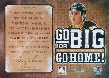 2014 In The Game Draft Prospects - Go Big Or Go Home Patches Bronze #BIG-5 Mario Lemieux Back