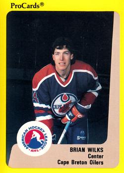 1989-90 ProCards AHL #148 Brian Wilks Front