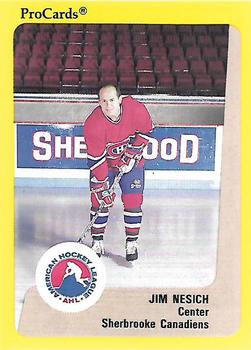 1989-90 ProCards AHL #182 Jim Nesich Front