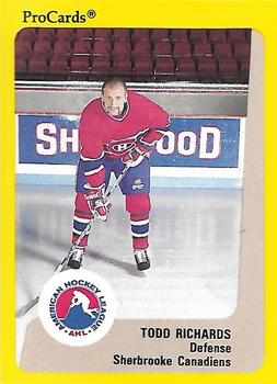 1989-90 ProCards AHL #183 Todd Richards Front