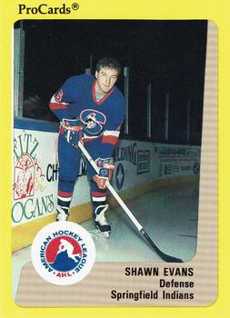 1989-90 ProCards AHL #244 Shawn Evans Front