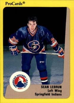 1989-90 ProCards AHL #247 Sean LeBrun Front
