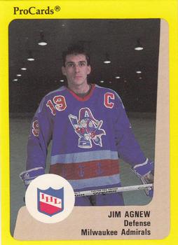 1989-90 ProCards IHL #185 Jim Agnew Front