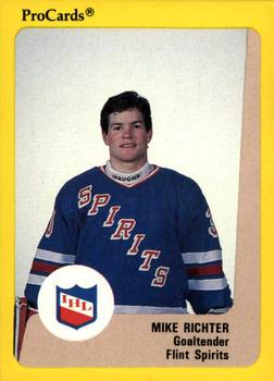 1989-90 ProCards IHL #48 Mike Richter Front
