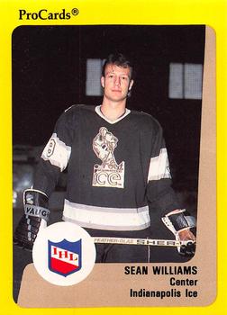 1989-90 ProCards IHL #50 Sean Williams Front
