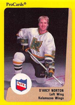 1989-90 ProCards IHL #77 D'Arcy Norton Front