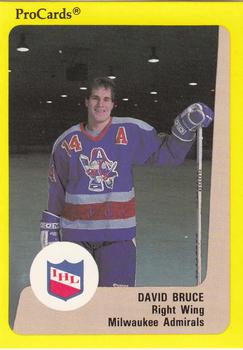 1989-90 ProCards IHL #173 David Bruce Front
