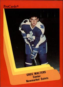 1990-91 ProCards AHL/IHL #147 Greg Walters Front