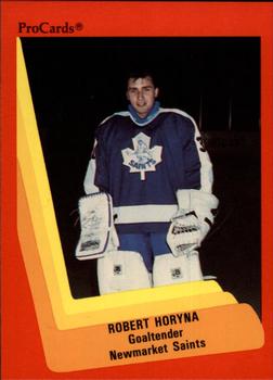 1990-91 ProCards AHL/IHL #165 Robert Horyna Front
