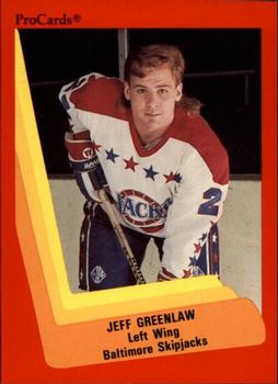 1990-91 ProCards AHL/IHL #210 Jeff Greenlaw Front
