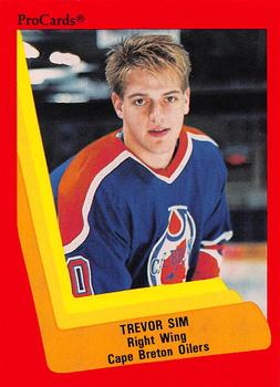 1990-91 ProCards AHL/IHL #230 Trevor Sim Front