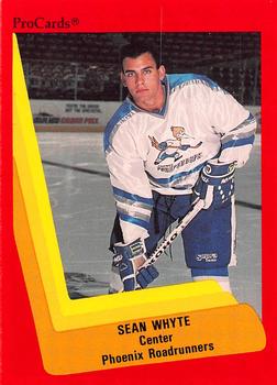 1990-91 ProCards AHL/IHL #346 Sean Whyte Front