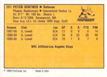 1990-91 ProCards AHL/IHL #361 Peter Sentner Back