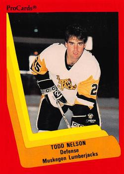 1990-91 ProCards AHL/IHL #383 Todd Nelson Front