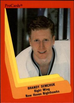 1990-91 ProCards AHL/IHL #430 Brandy Semchuk Front