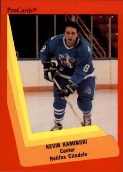 1990-91 ProCards AHL/IHL #448 Kevin Kaminski Front