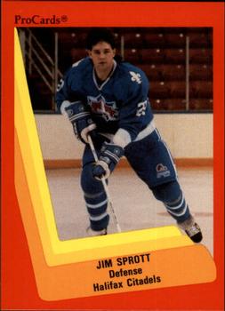1990-91 ProCards AHL/IHL #464 Jim Sprott Front