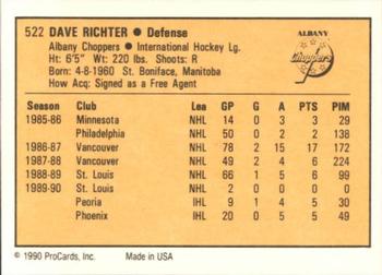 1990-91 ProCards AHL/IHL #522 Dave Richter Back