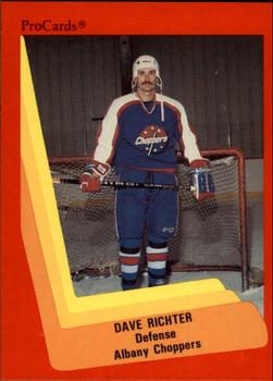 1990-91 ProCards AHL/IHL #522 Dave Richter Front