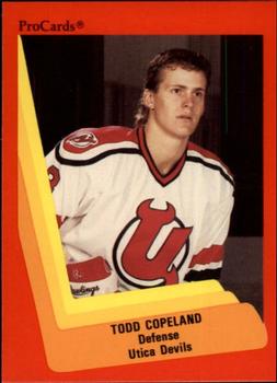 1990-91 ProCards AHL/IHL #573 Todd Copeland Front