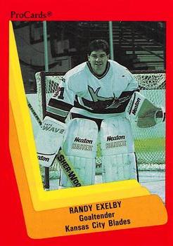 1990-91 ProCards AHL/IHL #589 Randy Exelby Front