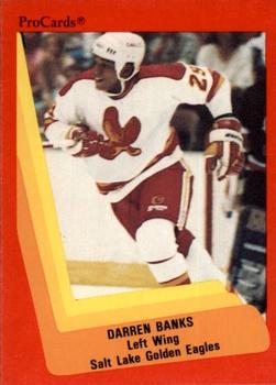 1990-91 ProCards AHL/IHL #622 Darren Banks Front