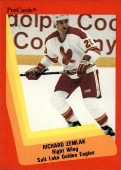 1990-91 ProCards AHL/IHL #623 Richard Zemlak Front