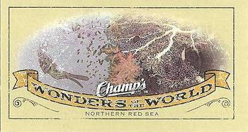 2009-10 Upper Deck Champ's #416 Northern Red Sea Front